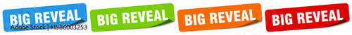big reveal sticker. big reveal sticker set on white background