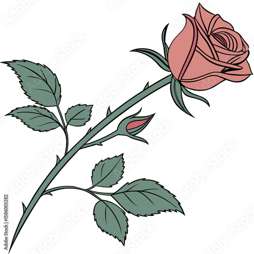 Elegant single pink rose with detailed green leaves and thorny stem showcasing floral beauty and delicate petal structure suitable for romantic or