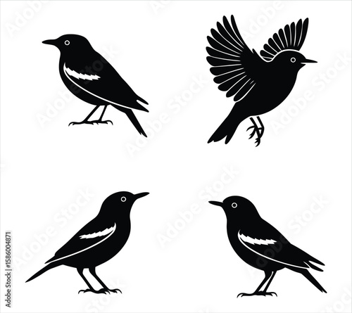 Clean Warbler Silhouette Set for Designers