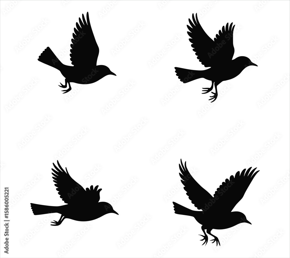 Obraz premium Clean Bird Silhouette Set – Yellow-Rumped Warbler