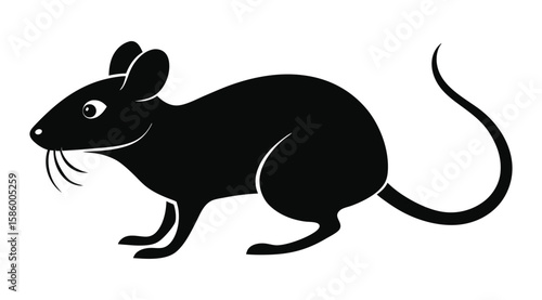 vector illustration of a rat