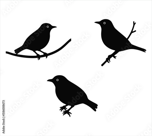 Wallpaper Mural Yellow-Rumped Warbler Bird Silhouettes in Motion Torontodigital.ca