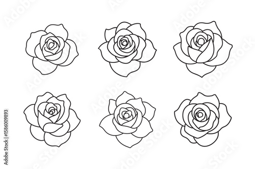 line art  style rose flower set on white background