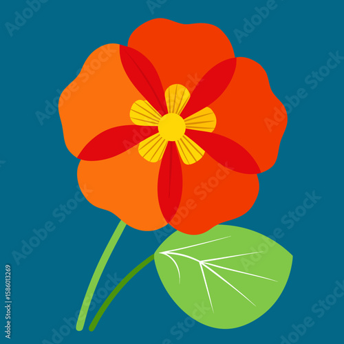 orange flower isolated on white