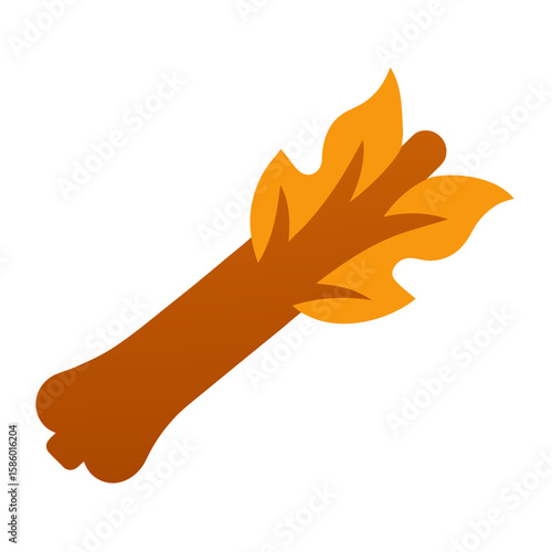 feather isolated on white background