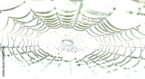 Close-up detailed view of a dew-covered spider web in the soft morning light, highlighting its intricate patterns and delicate structure
