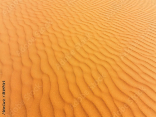 Ripples in the Desert Sand