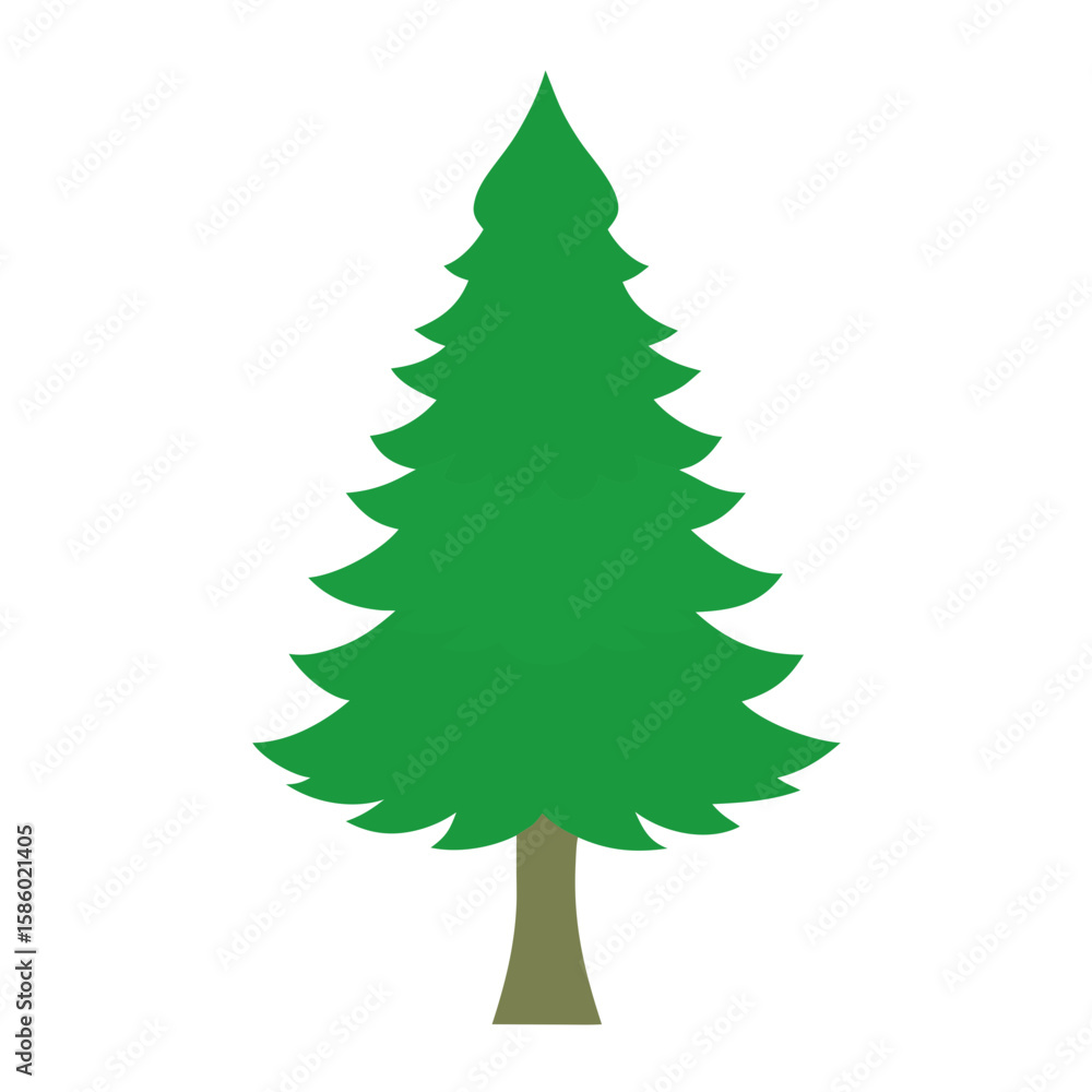 Obraz premium green christmas tree