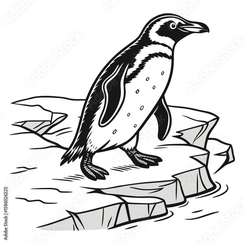 Penguin walking on ice floes on white background