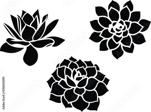 Black Silhouette Succulent Vector Set – Decorative Echeveria and Cactus Flowers