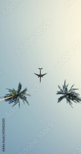 Looking up at two tall coconut palms under a clear blue tropical sky. The scene radiates serenity, warmth, and vacation vibes, evoking a perfect sunny escape surrounded by nature