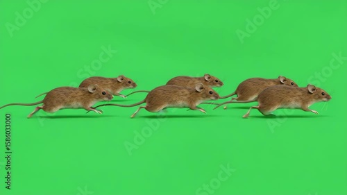 Swift Rodents on the Move: A dynamic image captures a group of nimble mice in mid-action, their tiny bodies propelled forward against a backdrop of verdant vibrancy.