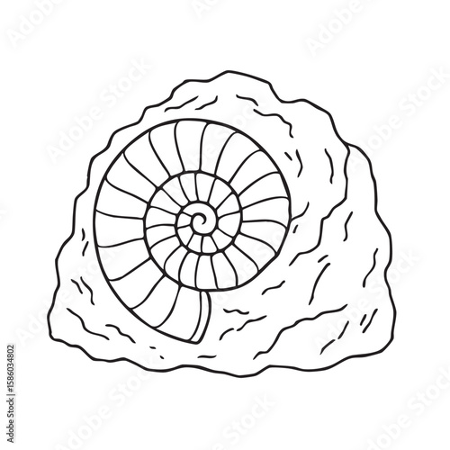 Hand Drawn Ammonite Fossil in Rock Outline Illustration for Coloring Books and Educational Materials