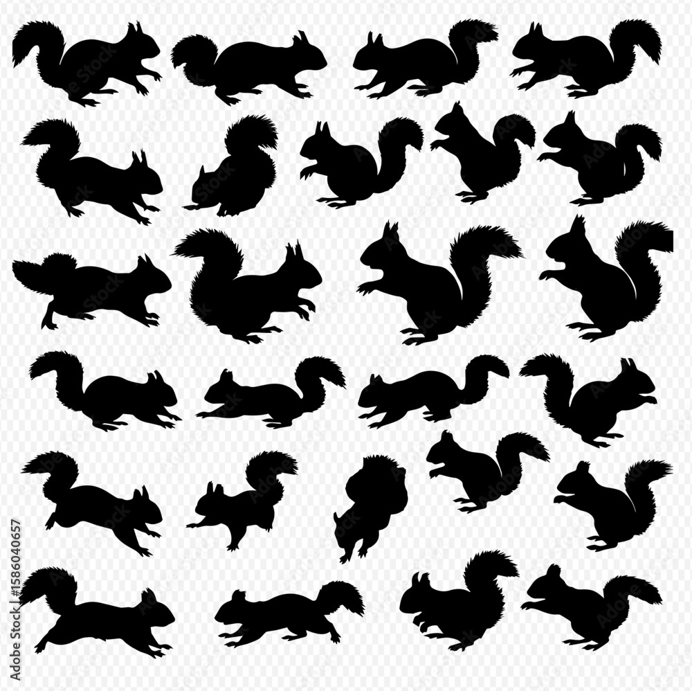 Fototapeta premium A collection of twenty-seven black squirrel silhouettes in various poses, including standing, running, and sitting, against a transparent background.