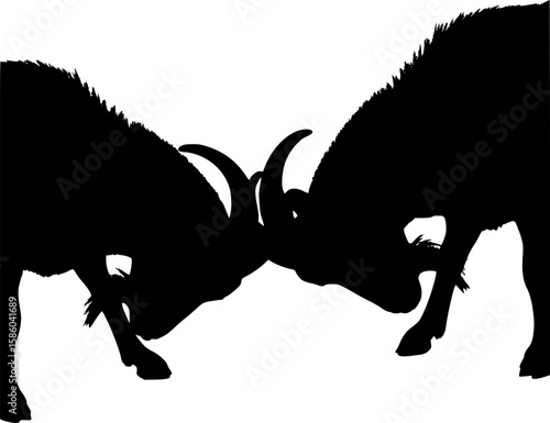 Vector Silhouette Of Two Goats Headbutting.