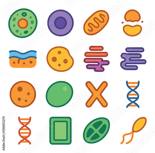Biology & Cell Structures modern flat style . Cell, Nucleus, Mitochondrion, Ribosome, Cell membrane, Cytoplasm, Golgi apparatus, Endoplasmic reticulum, Lysosome, Vacuole