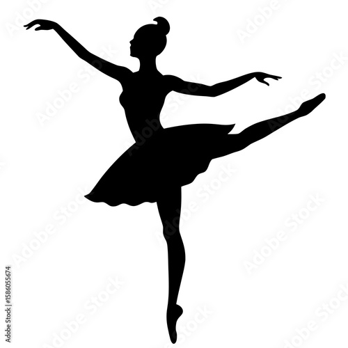 Graceful ballerina performing ballet dance ballet dancer