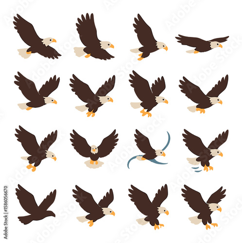 Eagle Flight Dynamics modern flat style. soaring eagle, wing flap, diving eagle, gliding eagle, eagle banking, eagle wing span, eagle lift-off, eagle landing, eagle