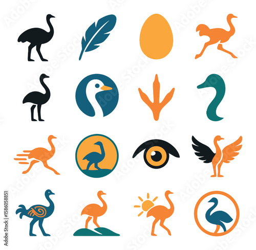 Ostrich Symbolism and Icons modern flat style. ostrich silhouette, feather icon, egg shape, running bird symbol, flightless bird sign, wild ostrich emblem, long leg print