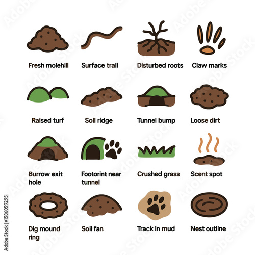 Mole Tracks and Signs modern flat style. fresh molehill, surface trail line, disturbed roots, claw marks in soil, raised turf, soil ridge, tunnel bump, loose dirt patch