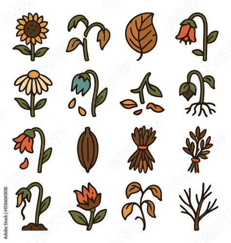 Dead Plants and Flowers modern flat style. dried sunflower, broken stem, brown leaf, drooping rose, wilted daisy, frostbitten bud, fallen petals, root rot, crushed