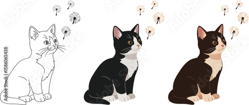 Three adorable kittens in different styles, including a line drawing, a black and white cat, and a brown and white cat, all looking at floating dandelion seeds.