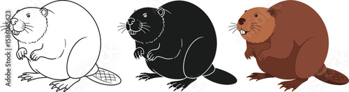 Three beaver illustrations showcase the animal in different styles, including a line drawing, a solid black silhouette, and a fully colored version, perfect for educational or design projects.