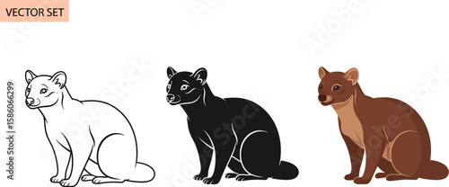 Three vector illustrations showcase the Fossa, a carnivorous mammal native to Madagascar, in different styles including a line drawing, a solid black silhouette, and a fully colored version.