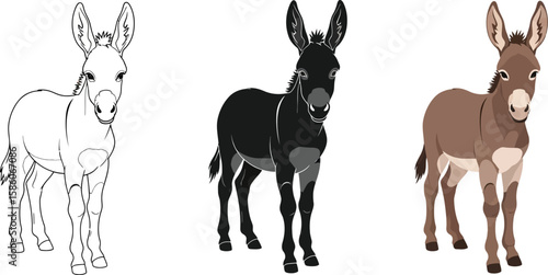 Three donkey illustrations showcase the animal in different styles, including a line drawing, a black silhouette, and a fully colored version, perfect for educational or creative projects.