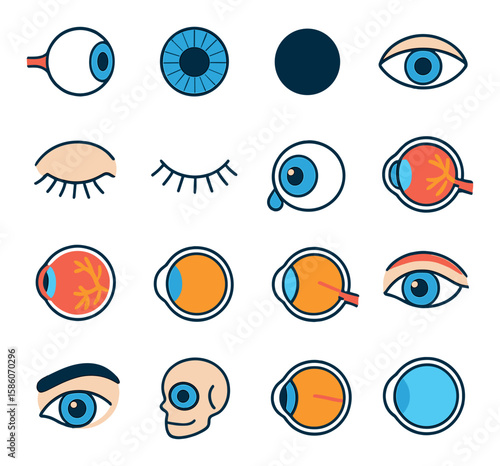 anatomy and parts of the eye modern flat style. eyeball, iris, pupil, sclera, eyelid, eyelashes, tear duct, cornea, retina, optic nerve, lens, conjunctiva, eyebrow, eye