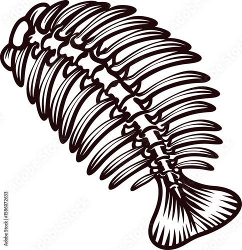 vintage hand drawn fish skeleton illustration with detailed bones isolated on white background
