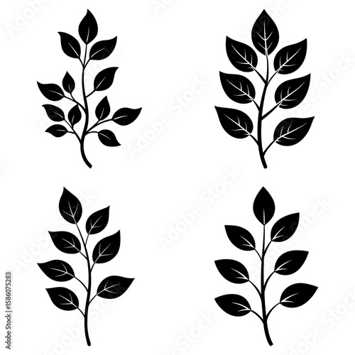 Four black vector leaf branches with varied leaf arrangements on a white background in a simple illustration