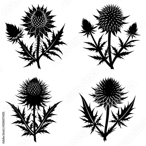 Wallpaper Mural Four stylized thistle flower arrangements in black and white with detailed leaves and floral heads Torontodigital.ca