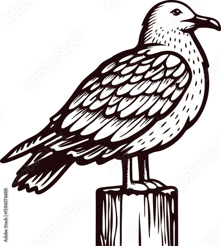 Hand drawn seagull perched on wooden post vintage engraved sketch black and white illustration