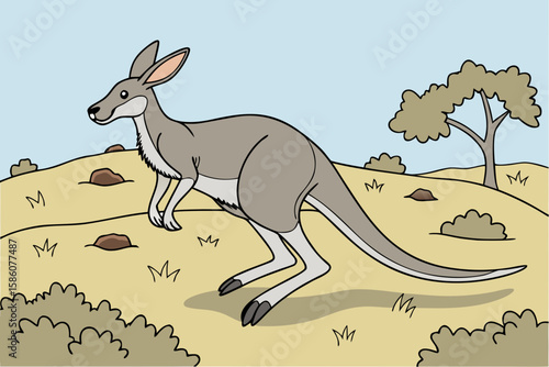 Gray kangaroo hopping in a dry grassy landscape marsupial