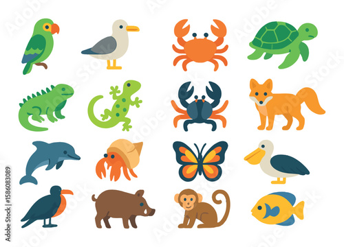 Island wildlife and birds modern flat style. parrot, seagull, crab, sea turtle, iguana, gecko, coconut crab, island fox, dolphin, hermit crab, exotic butterfly, pelican