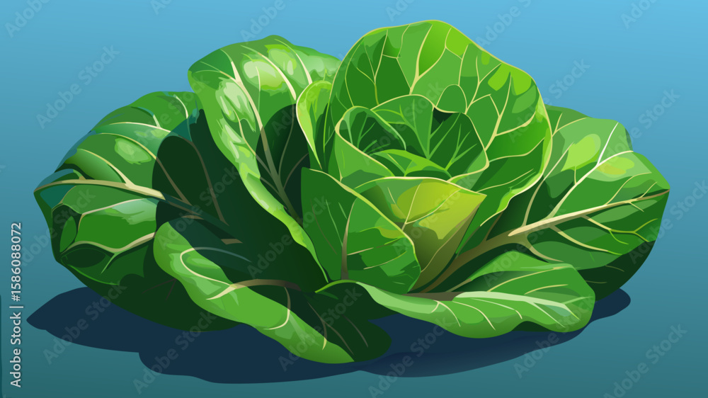 Obraz premium green cabbage on the ground