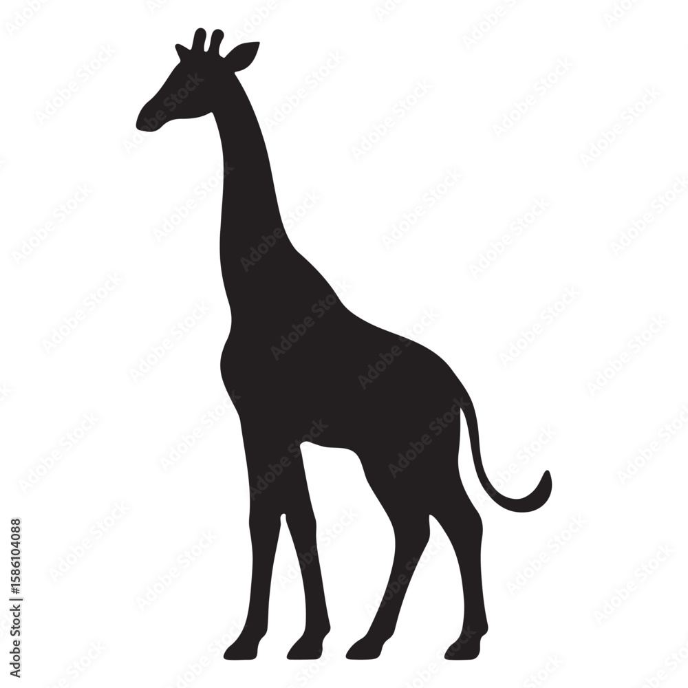 Fototapeta premium Tall giraffe silhouette with long neck and spotted pattern