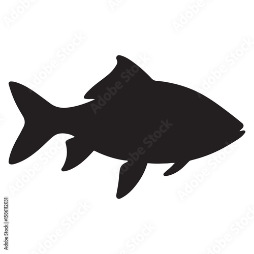 Katla carp silhouette with elongated body and detailed fins