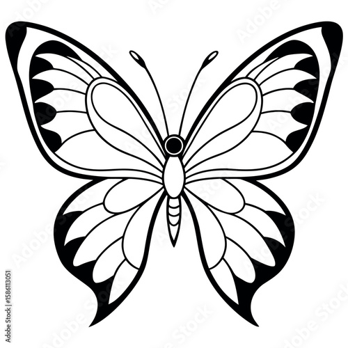  Butterfly vector illustration.
