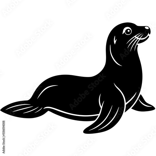 Black sea lion resting on white marine mammal animal