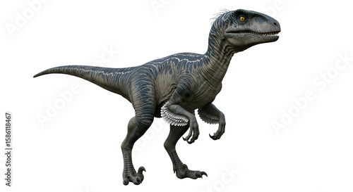 Raptor Dinosaur:  3D Model with Transparent Background