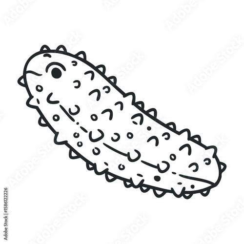 Black and white cucumber with spiky skin in minimalist style. Hand draw vector illustration
