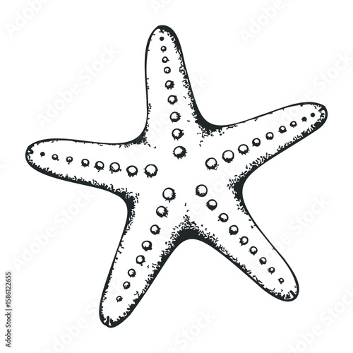 Black and white starfish drawing with detailed texture and dotted patterns. Hand draw vector illustration