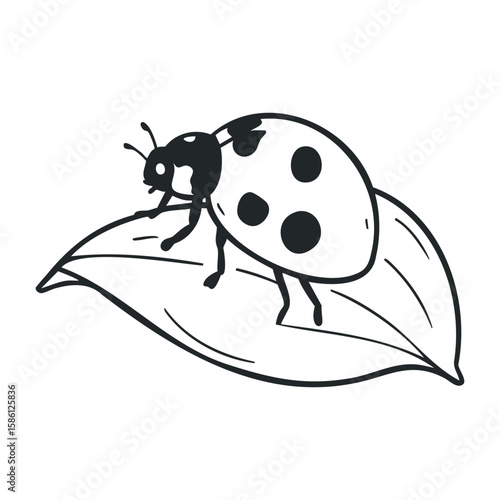 Black and white ladybug on leaf outline. Hand drawn vector illustration
