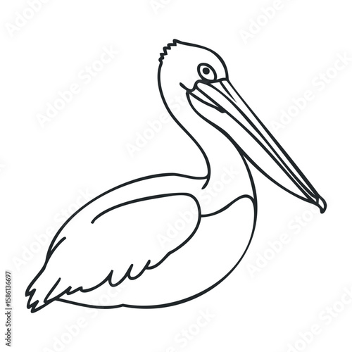 Outline drawing of pelican with long beak and detailed feathers in profile view. Outline vector illustration