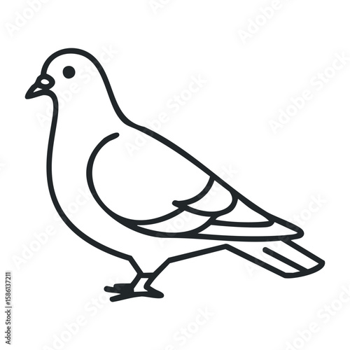 Outline illustration of a pigeon in profile. Outline vector illustration