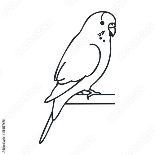 Outline of a budgerigar on perch with detailed features and distinctive line design. Outline vector illustration