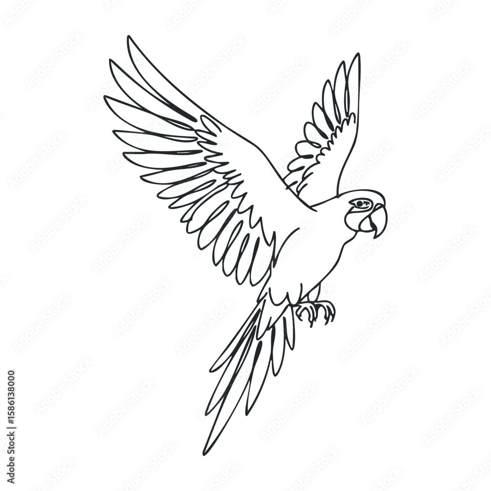 Obraz premium Flying parrot outline with extended wings in mid-air on white background. Outline vector illustration