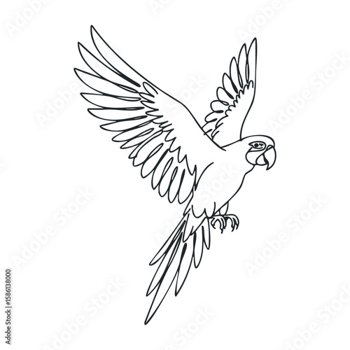 Flying parrot outline with extended wings in mid-air on white background. Outline vector illustration